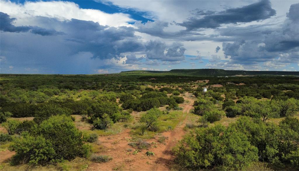 TBD County Road 175 - Photo 6