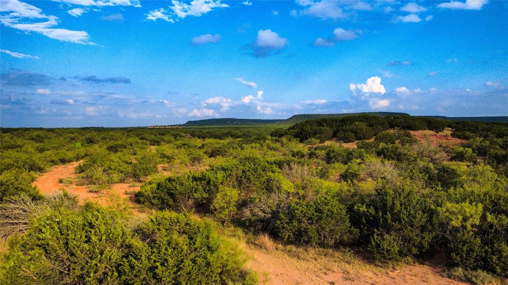 TBD County Road 175 - Photo 9