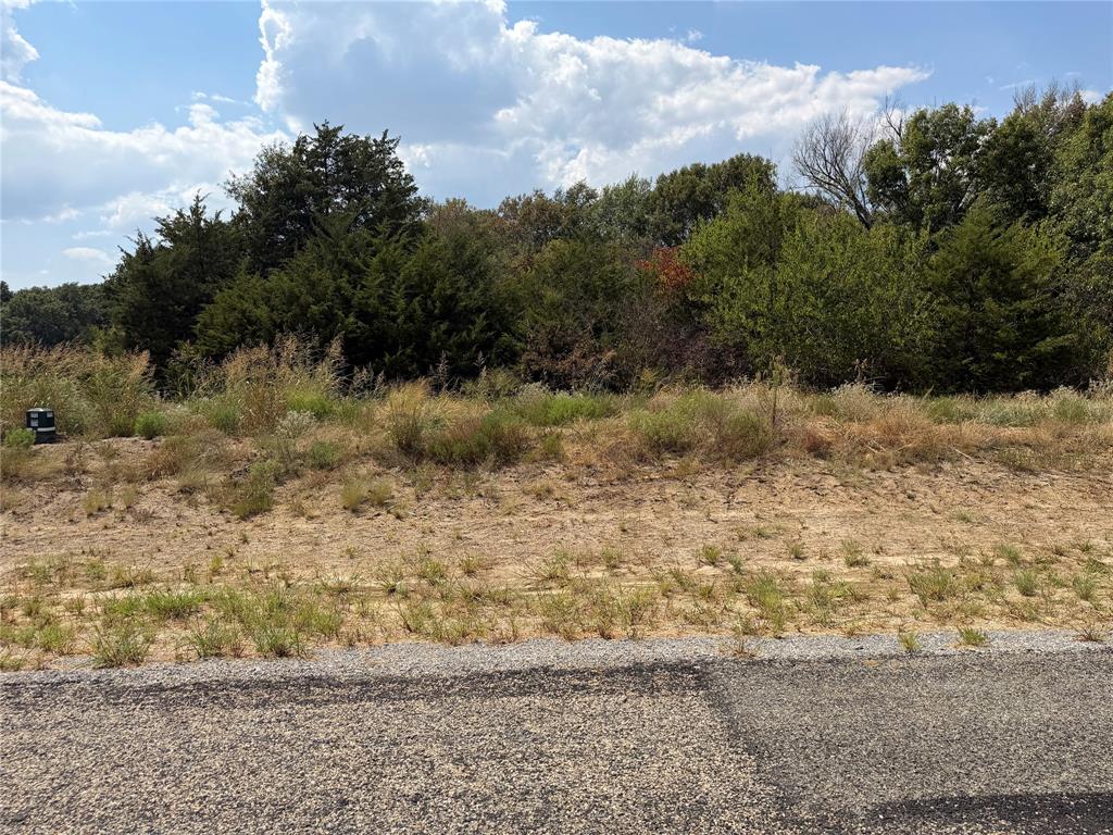 Lot 10 Co Rd 1110 - Photo 1