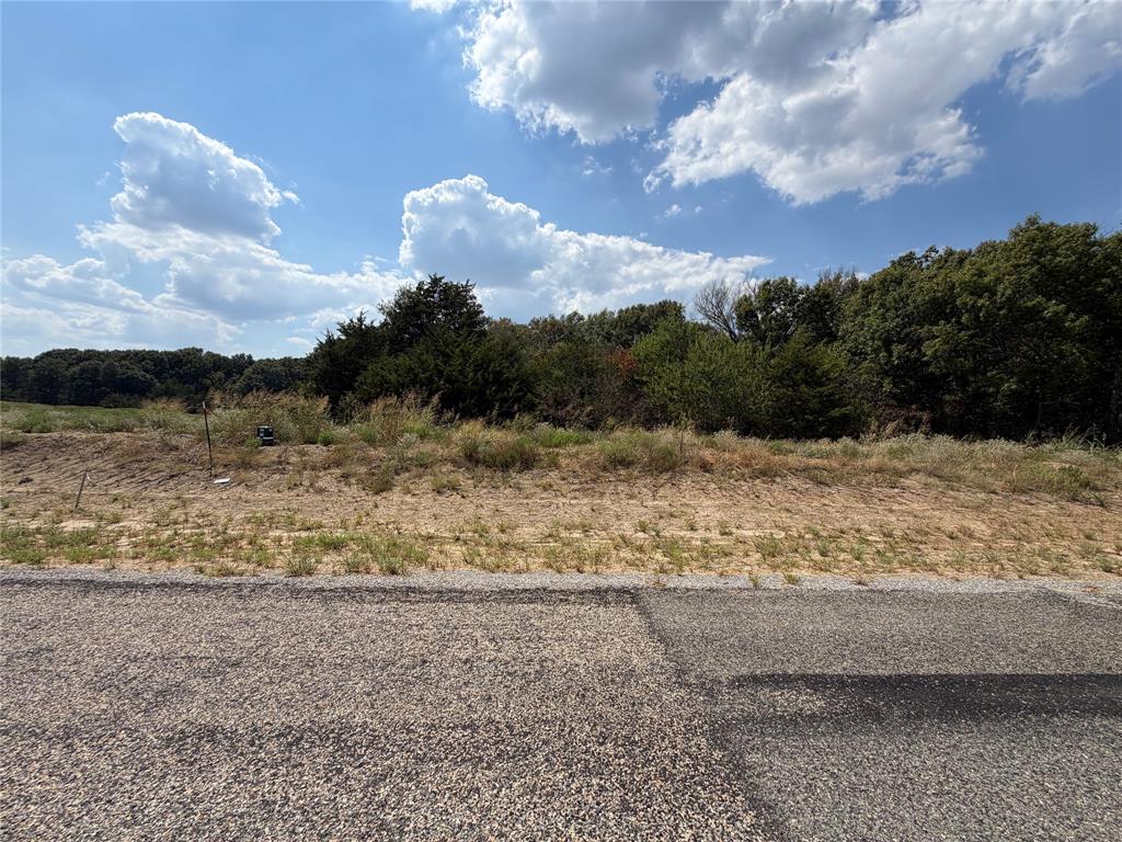 Lot 10 Co Rd 1110 - Photo 4