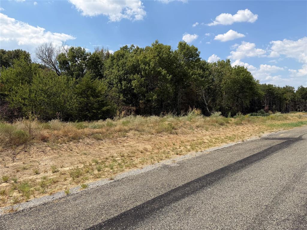 Lot 10 Co Rd 1110 - Photo 6