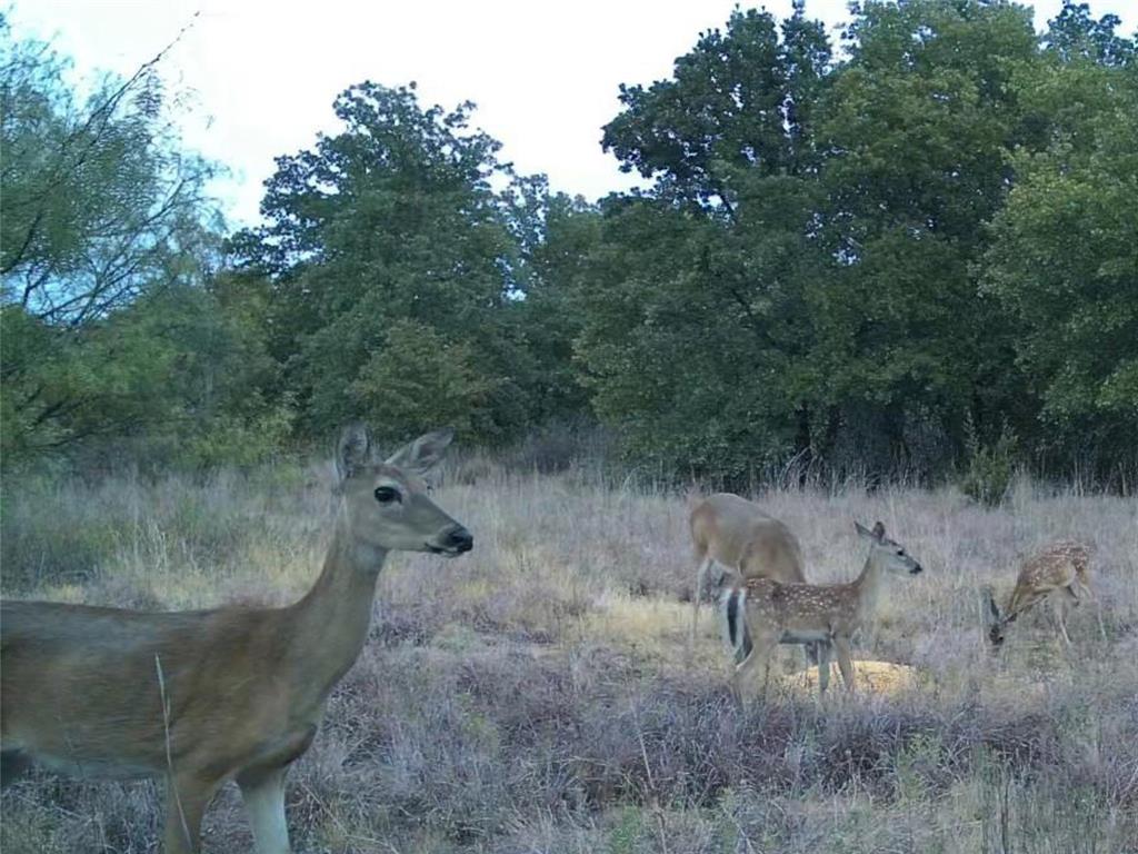 1685 Rocky Mound Road - Photo 39