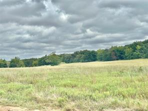 3207 Fm 678 - Photo 18