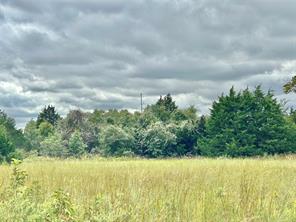 3207 Fm 678 - Photo 19