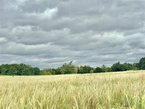 3207 Fm 678 - Photo 22