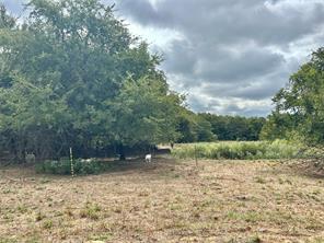 3207 Fm 678 - Photo 29