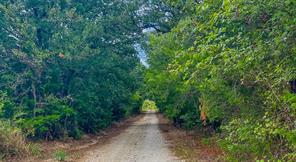 3207 Fm 678 - Photo 9