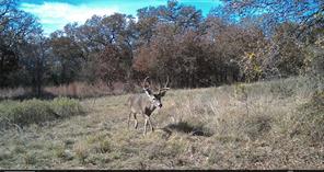 000 Fm-2210 - Photo 2