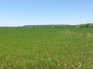 TBD 212 Acres CR 498 - Photo 23