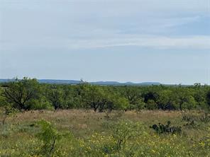 TBD 212 Acres CR 498 - Photo 24