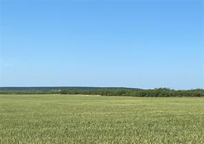 TBD 212 Acres CR 498 - Photo 25