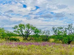 TBD 212 Acres CR 498 - Photo 30