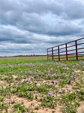 TBD 212 Acres CR 498 - Photo 32