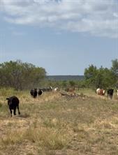 TBD 212 Acres CR 498 - Photo 39