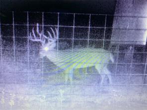TBD 212 Acres CR 498 - Photo 8