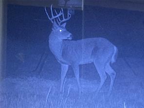 TBD 212 Acres CR 498 - Photo 9