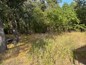 3744 NW County Road 3112 - Photo 4