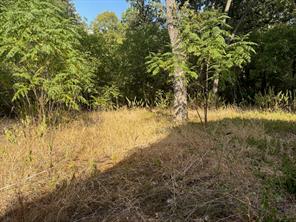 3744 NW County Road 3112 - Photo 7