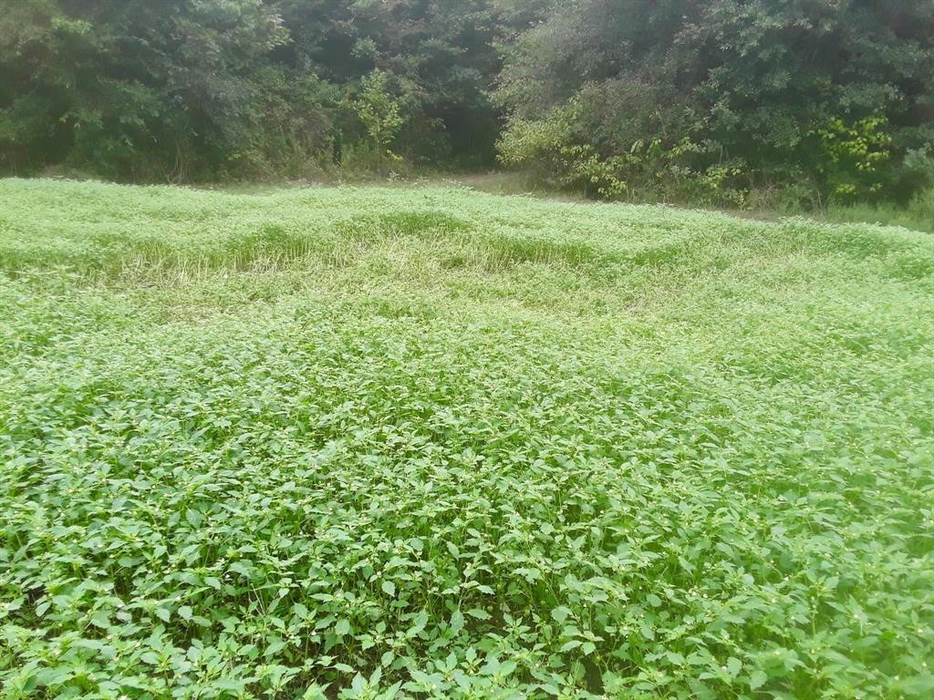 TBD Shawnee - Photo 1