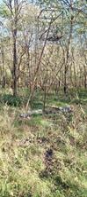 TBD Shawnee - Photo 3