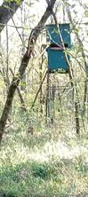 TBD Shawnee - Photo 4