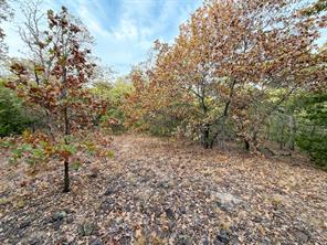 TBD Rock Hill - Photo 26