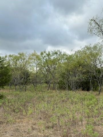 1483 County Road 2435 - Photo 2