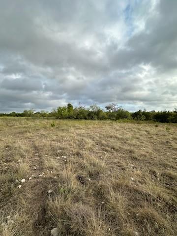 1483 County Road 2435 - Photo 4