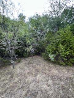 1483 County Road 2435 - Photo 6