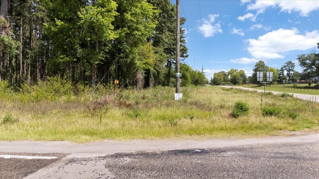 Tract 4 FM 1002 - Photo 6