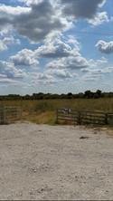 1627 Hill County Road 4242 N - Photo 15