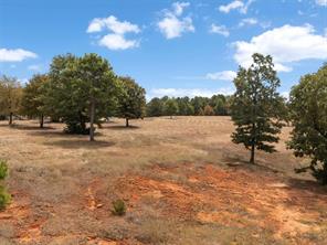 TBD Silk Tree Road - Photo 10