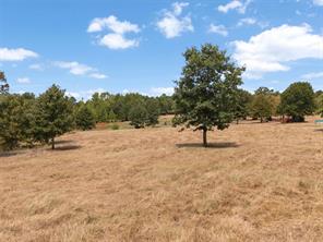 TBD Silk Tree Road - Photo 4