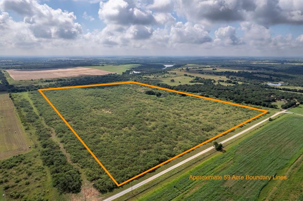TBD Tract 4 County Road 166 - Photo 2