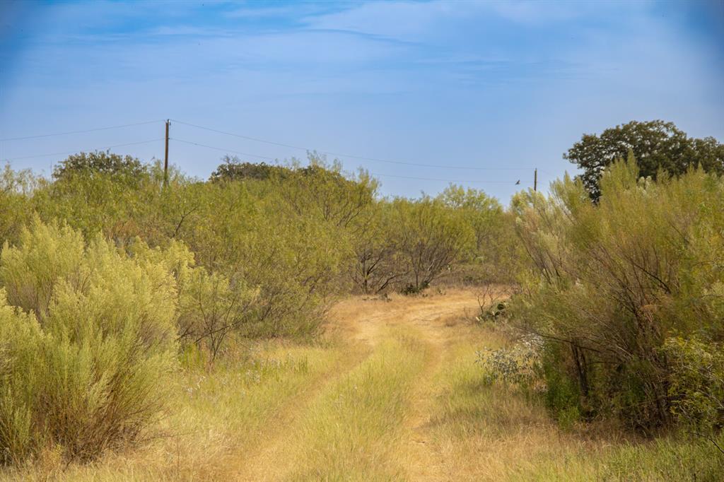 TBD Tract 4 County Road 166 - Photo 3