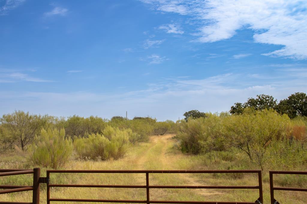 TBD Tract 4 County Road 166 - Photo 4