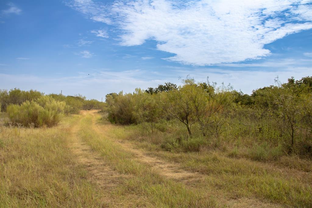 TBD Tract 4 County Road 166 - Photo 7