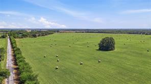 738 Crow Road - Photo 14