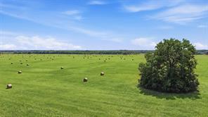 738 Crow Road - Photo 15