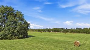 738 Crow Road - Photo 16