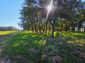 2519 Upper Montague Road - Photo 16