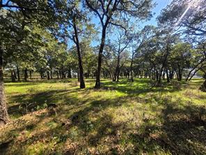 2519 Upper Montague Road - Photo 17