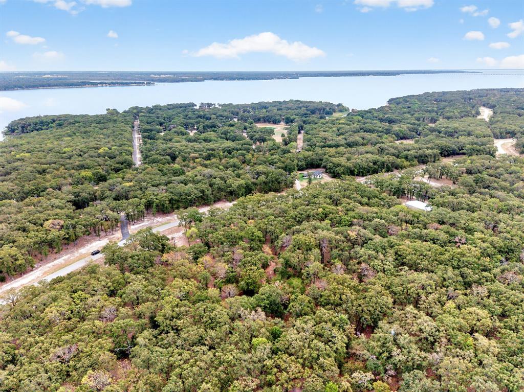 Lot 38 Vintage Shore Drive - Photo 29