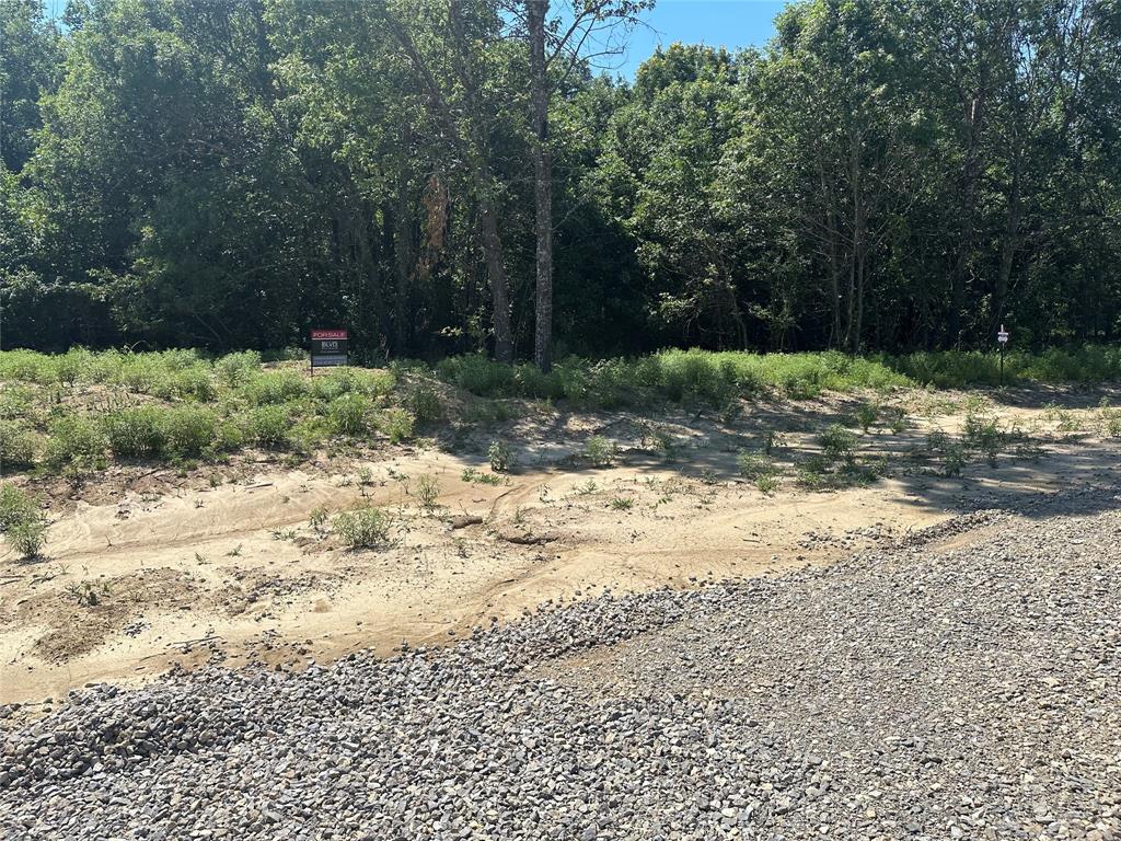 Lot 12 County Road 1110 - Photo 1