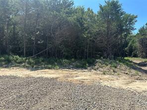 Lot 12 County Road 1110 - Photo 10