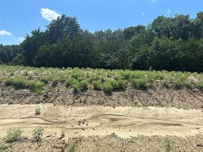 Lot 12 County Road 1110 - Photo 2