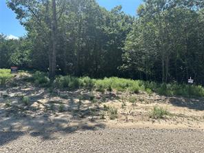 Lot 12 County Road 1110 - Photo 3