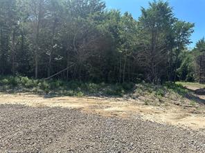 Lot 12 County Road 1110 - Photo 4
