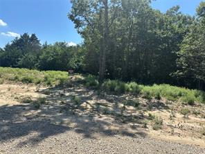 Lot 12 County Road 1110 - Photo 6