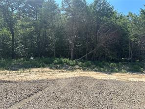 Lot 12 County Road 1110 - Photo 7